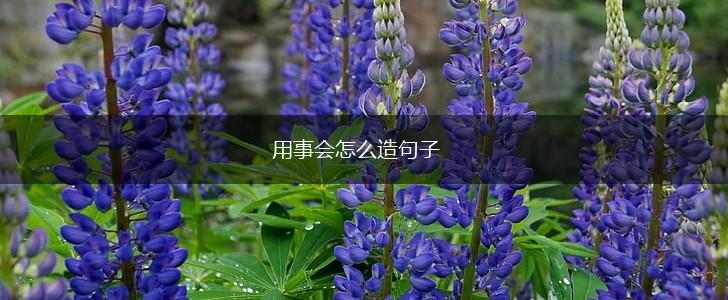 用事会怎么造句子,第1张