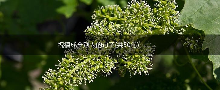 祝福成全别人的句子(共50句),第1张