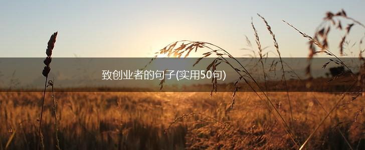 致创业者的句子(实用50句),第1张