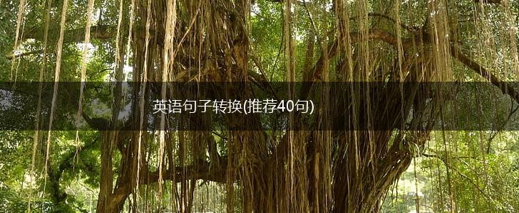 英语句子转换(推荐40句),第1张