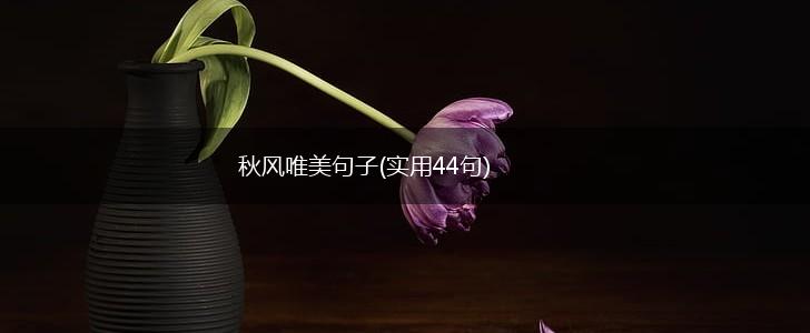 秋风唯美句子(实用44句),第1张