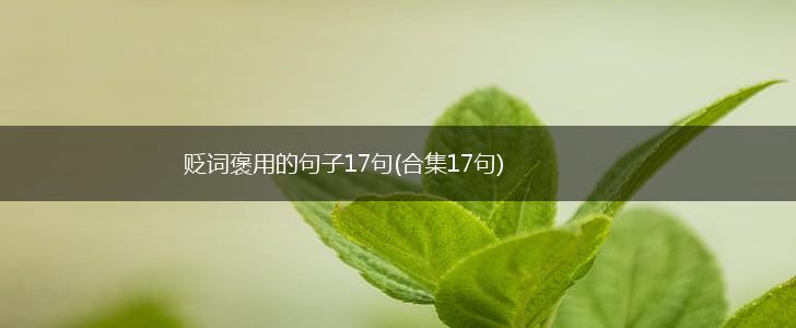 贬词褒用的句子17句(合集17句),第1张