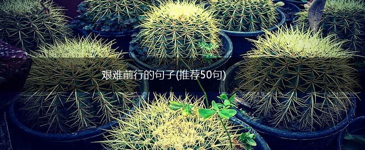 艰难前行的句子(推荐50句),第1张