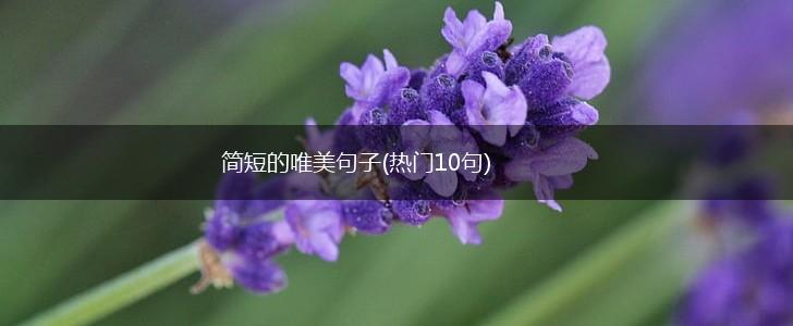 简短的唯美句子(热门10句),第1张