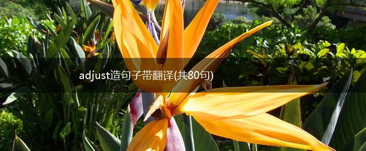 adjust造句子带翻译(共80句),第1张