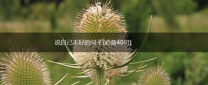 说自己不好的句子(必备40句),第1张