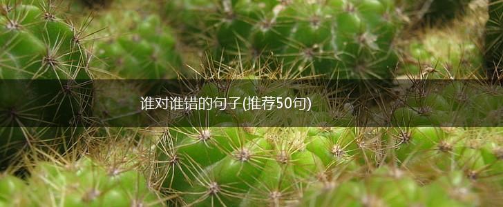 谁对谁错的句子(推荐50句),第1张
