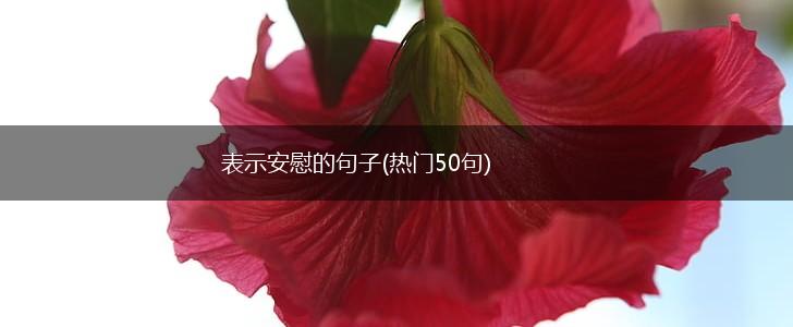 表示安慰的句子(热门50句),第1张