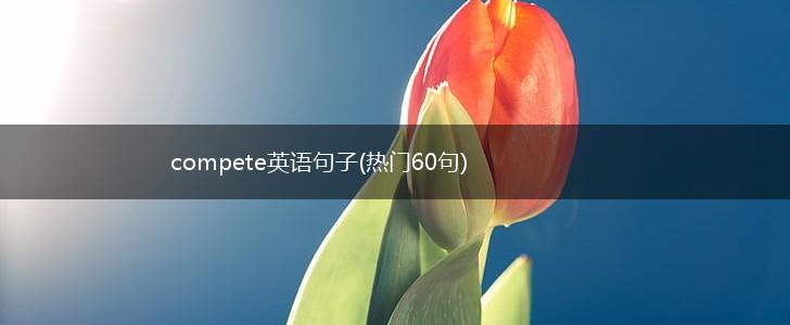 compete英语句子(热门60句),第1张