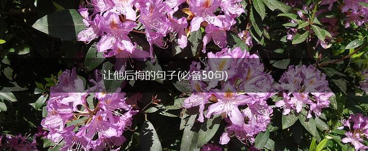 让他后悔的句子(必备50句),第1张