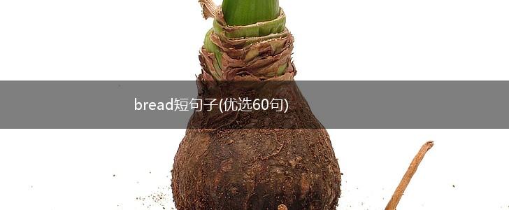 bread短句子(优选60句),第1张