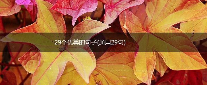 29个优美的句子(通用29句),第1张