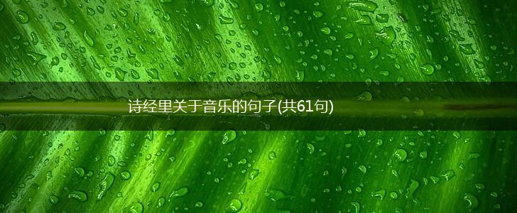 诗经里关于音乐的句子(共61句),第1张
