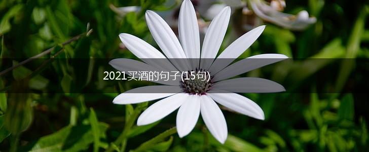 2021买酒的句子(15句),第1张