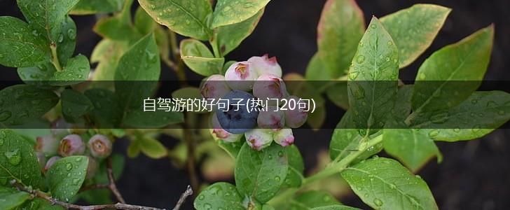 自驾游的好句子(热门20句),第1张