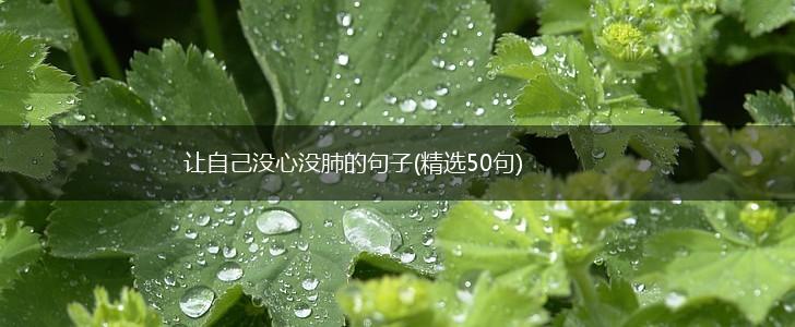 让自己没心没肺的句子(精选50句),第1张