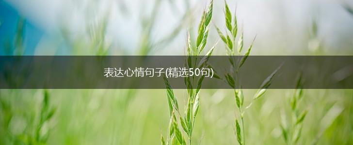 表达心情句子(精选50句),第1张