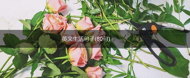 英文生活句子(80句),第1张