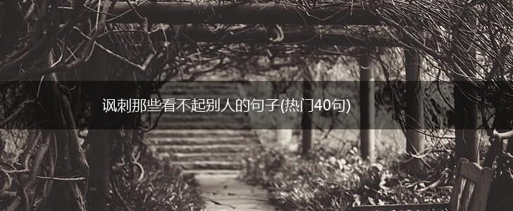 讽刺那些看不起别人的句子(热门40句),第1张