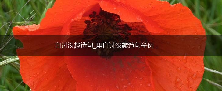 自讨没趣造句_用自讨没趣造句举例,第1张