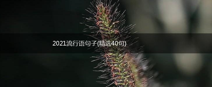 2021流行语句子(精选40句),第1张