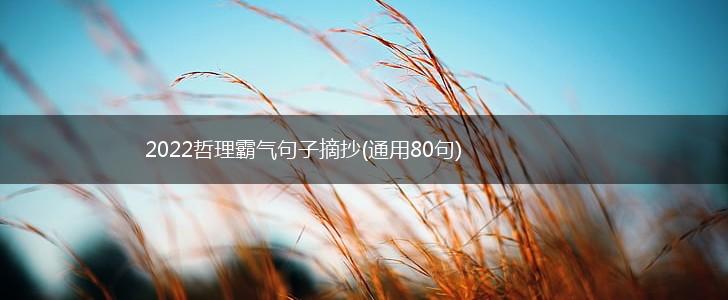 2022哲理霸气句子摘抄(通用80句),第1张