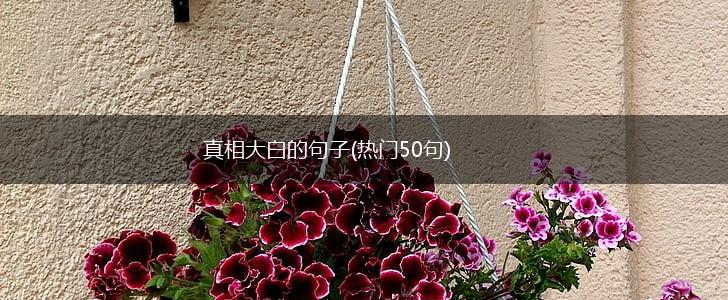 真相大白的句子(热门50句),第1张