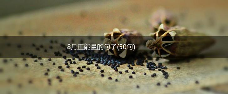 8月正能量的句子(50句),第1张