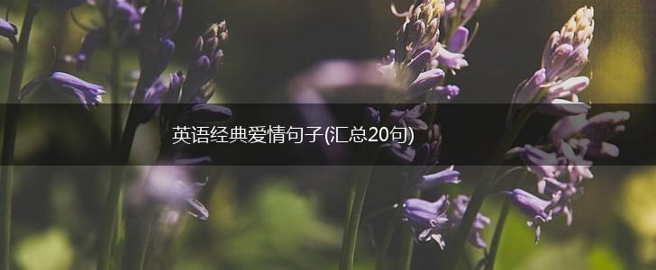 英语经典爱情句子(汇总20句),第1张