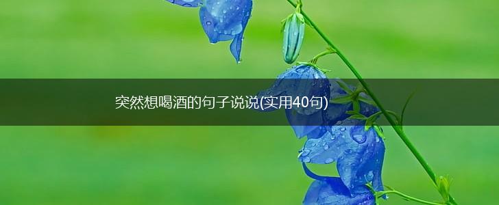 突然想喝酒的句子说说(实用40句),第1张