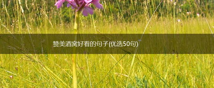 赞美酒窝好看的句子(优选50句),第1张