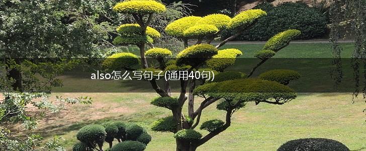 also怎么写句子(通用40句),第1张