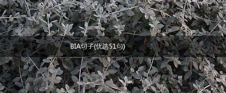 BIA句子(优选51句),第1张