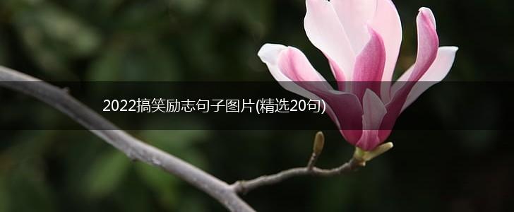2022搞笑励志句子图片(精选20句),第1张