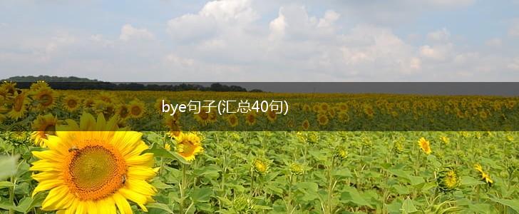 bye句子(汇总40句),第1张