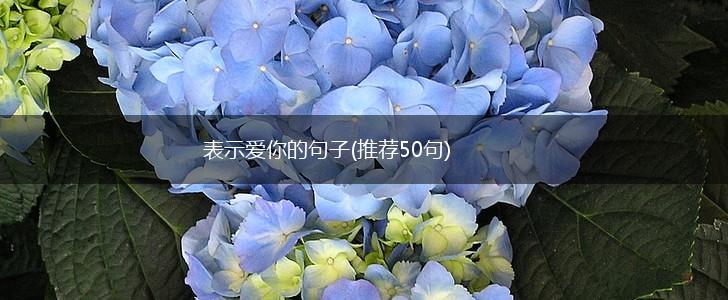 表示爱你的句子(推荐50句),第1张