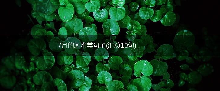 7月的风唯美句子(汇总10句),第1张