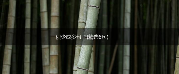 积少成多句子(精选8句),第1张