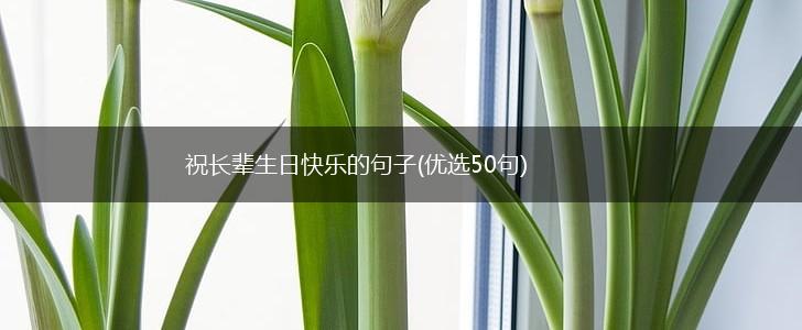 祝长辈生日快乐的句子(优选50句),第1张
