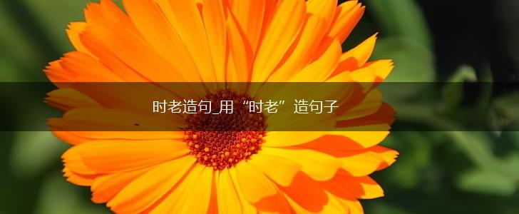 时老造句_用“时老”造句子,第1张