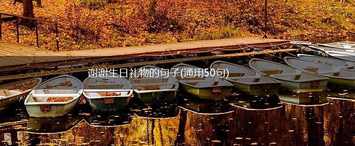 谢谢生日礼物的句子(通用50句),第1张