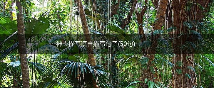 神态描写语言描写句子(50句),第1张
