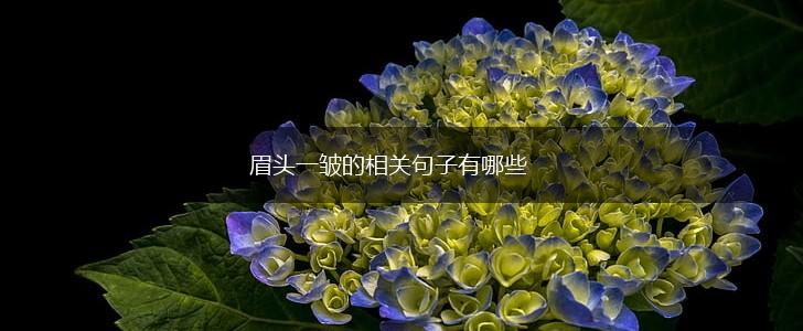 眉头一皱的相关句子有哪些,第1张