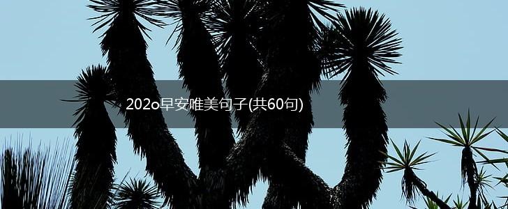 202o早安唯美句子(共60句),第1张