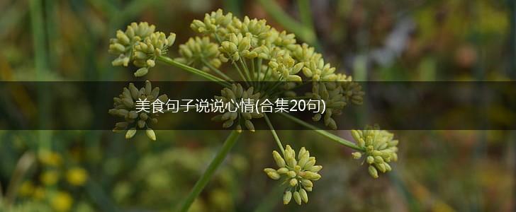 美食句子说说心情(合集20句),第1张