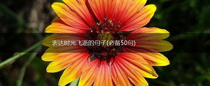 表达时光飞逝的句子(必备50句),第1张