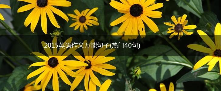 2015英语作文万能句子(热门40句),第1张
