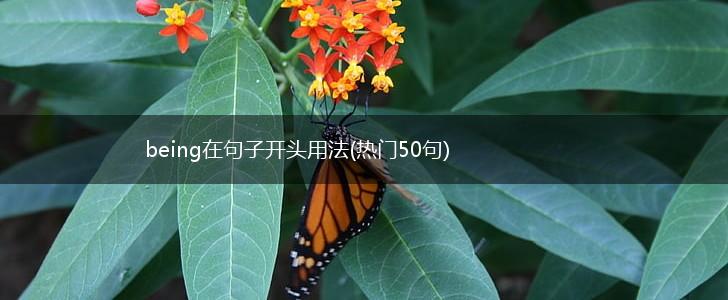 being在句子开头用法(热门50句),第1张