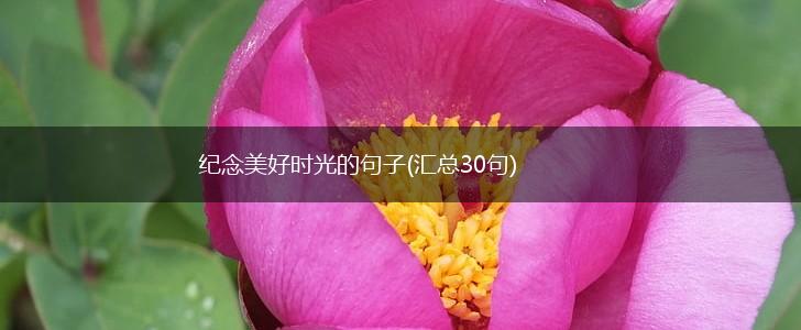 纪念美好时光的句子(汇总30句),第1张