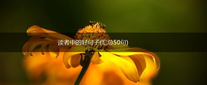 读者中的好句子(汇总50句),第1张